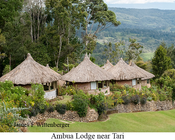 Ambua Lodge - © James F Wittenberger and Exotic Birding LLC