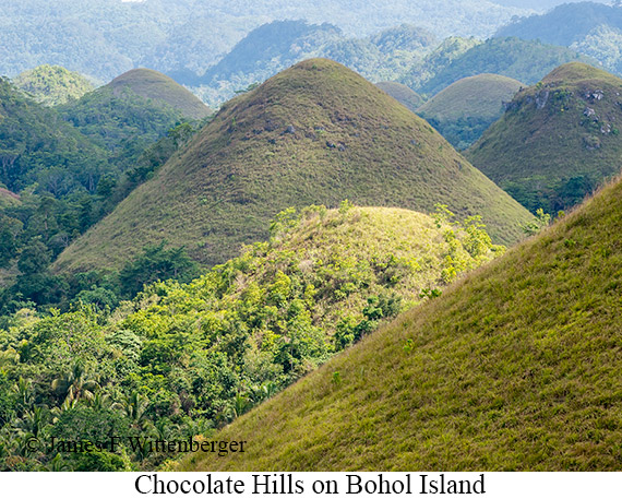 Chocolate Hills - © James F Wittenberger and Exotic Birding LLC