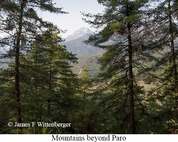 Mountain view from Paro - © James F Wittenberger and Exotic Birding LLC