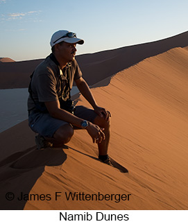 Namib Dunes - © James F Wittenberger and Exotic Birding LLC