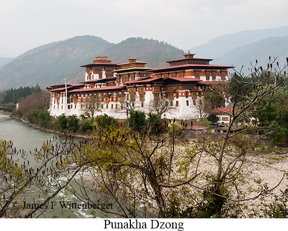 Punakha Dzong - © James F Wittenberger and Exotic Birding LLC