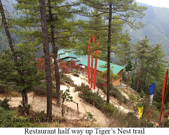 Restaurant along Tiger's Nest trail - © James F Wittenberger and Exotic Birding LLC