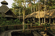 Sacha Lodge in the Napo River lowlands of eastern of Ecuador -  courtesy Sacha Lodge