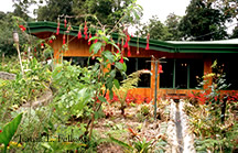 Savegre Mountain Hotel in the Talamanca Mountains of Costa Rica - &copy; Laura L Fellows and Exotic Birding tours