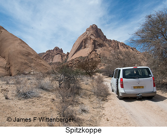 Spitzkoppe - © James F Wittenberger and Exotic Birding LLC