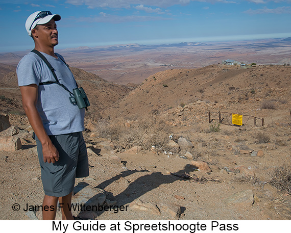 Spreetshoogte Pass - © James F Wittenberger and Exotic Birding LLC