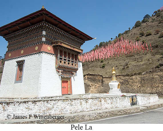 Stupa at Pele La - © James F Wittenberger and Exotic Birding LLC