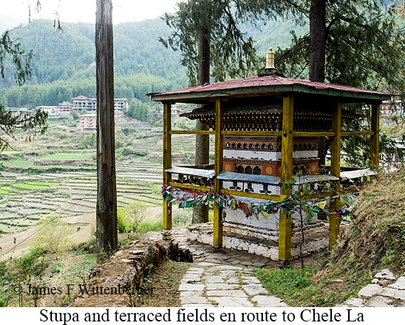 Small stupa and agricultural land en route to Chele La - © James F Wittenberger and Exotic Birding LLC