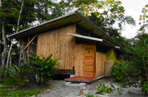 Villa Carmen Biological Station Lodge along Manu Road in Peru